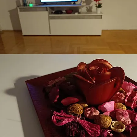 Апартаменты Cozy Modern In Centre Скопье